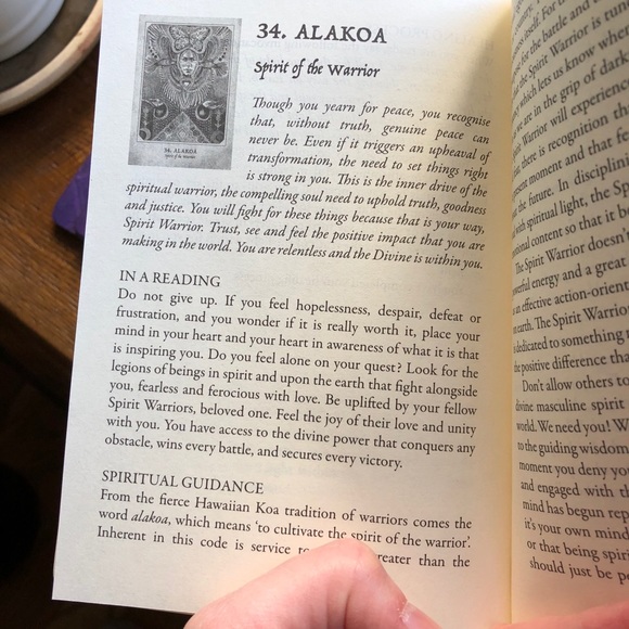 Earth Warriors Oracle deck and guidebook - Picture 5 of 5